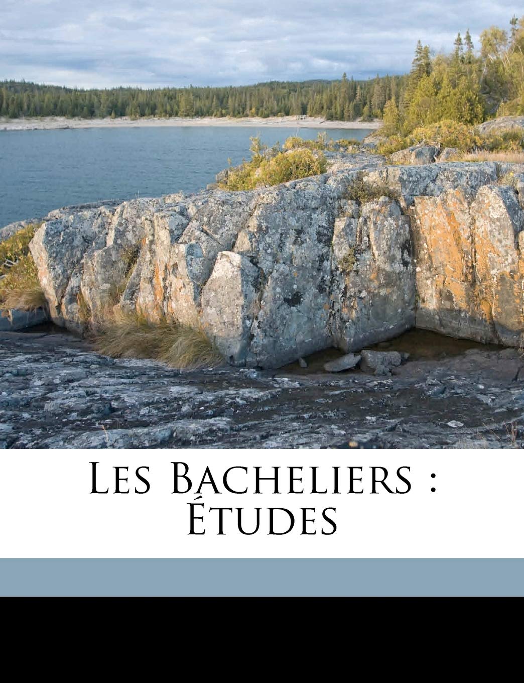 Les bacheliers: études Politics & History