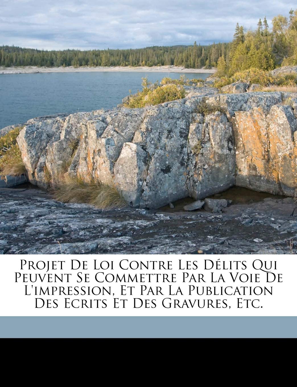 Projet de loi contre les Délits qui peuvent se commettre par la voie de l'impression, et par la publication des Ecrits et des Gravures, etc. Politics & History