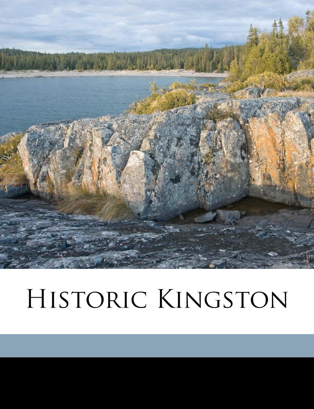 Historic Kingsto Politics & History