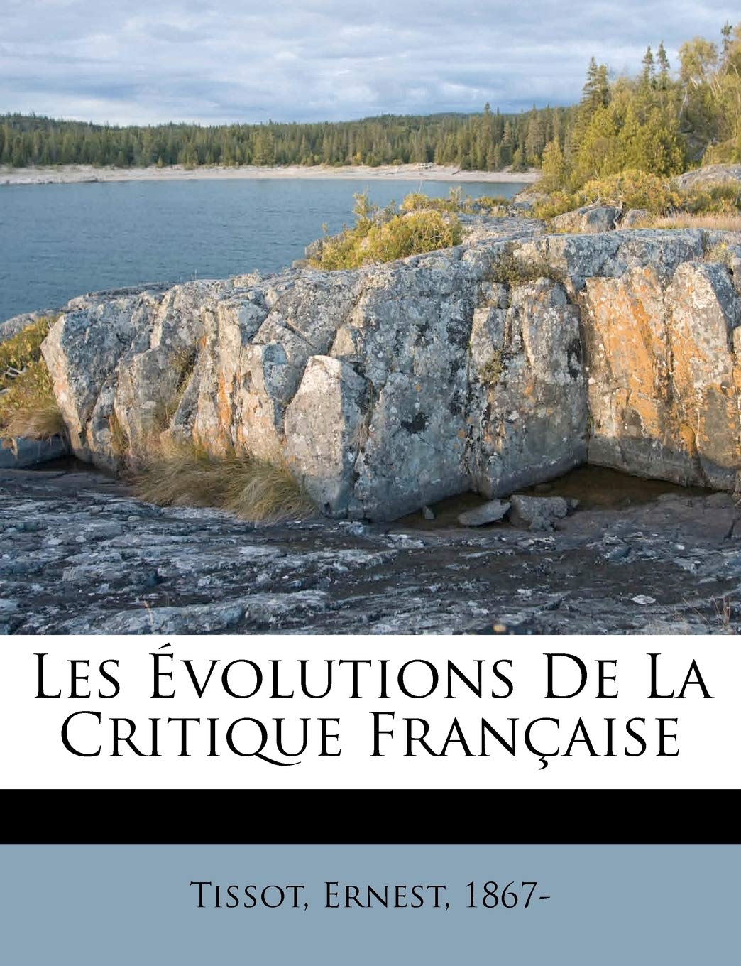 Les Évolutions de la Critique Française book