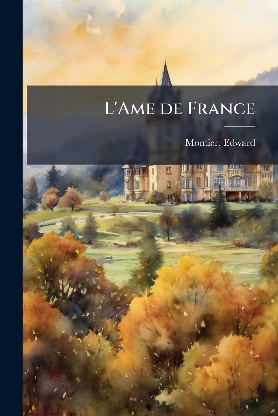 L'Ame de France book