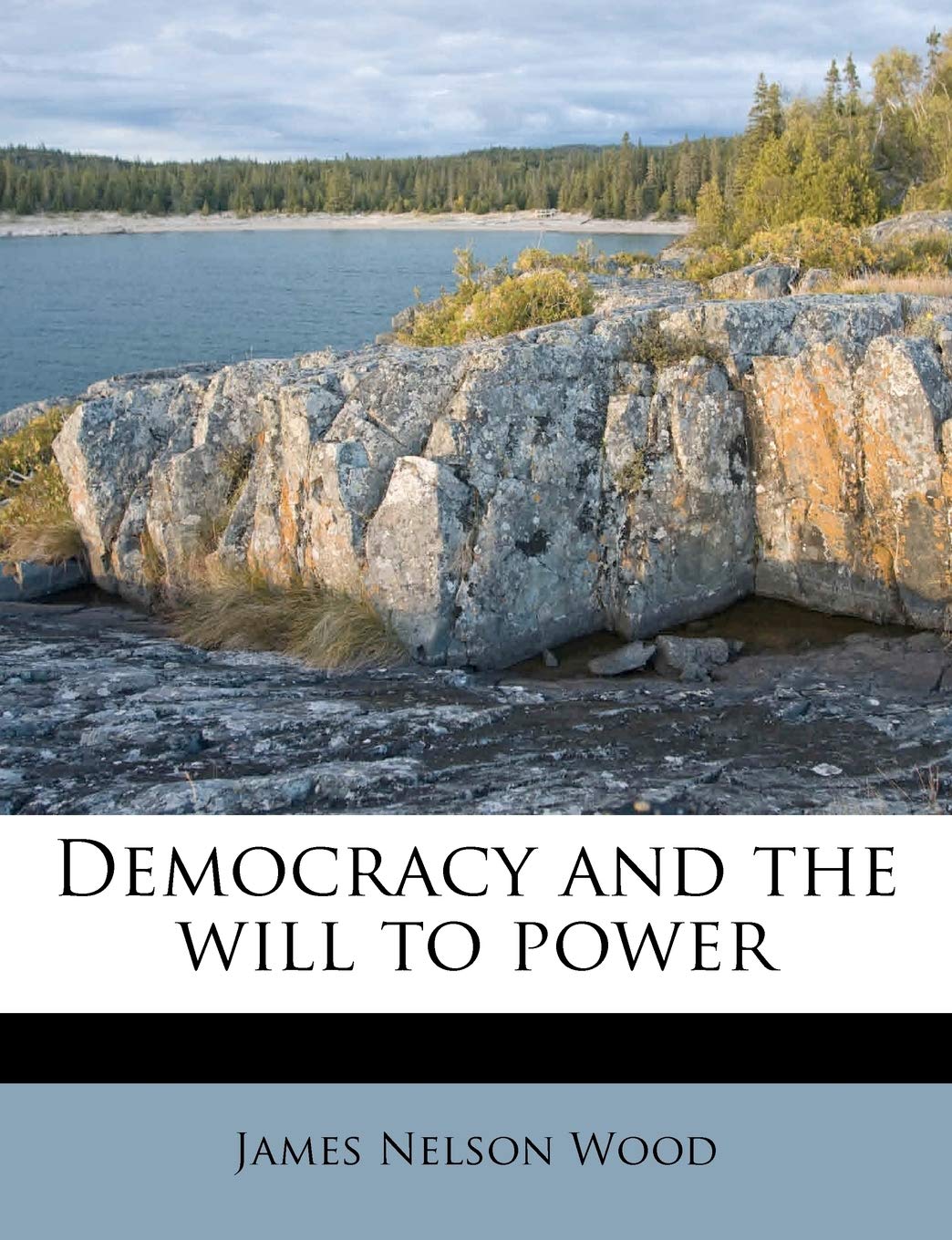 Democracy and the Will to Power Social Sciences