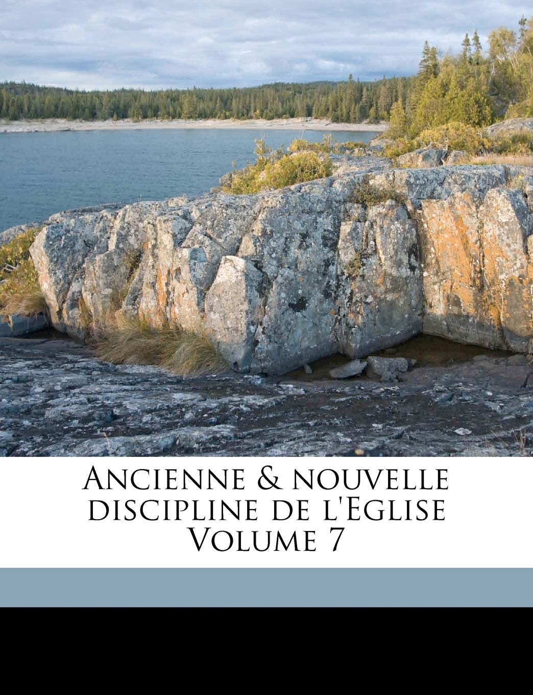 Ancienne & Nouvelle Discipline de L'Eglise Volume 7 book