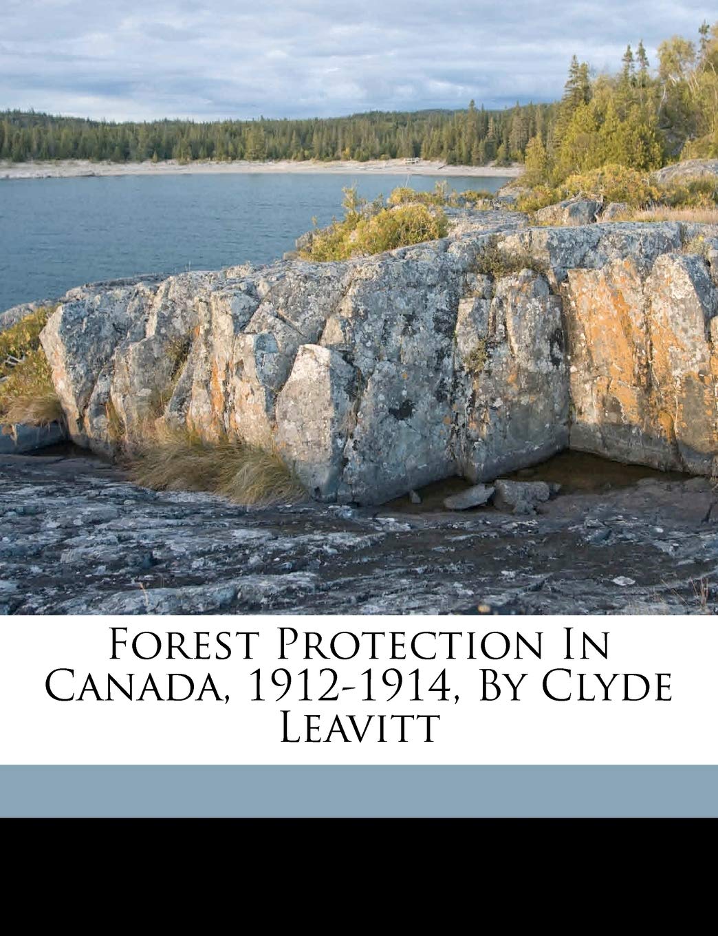 Forest Protection in Canada, 1912-1914, by Clyde Leavitt Politics & History