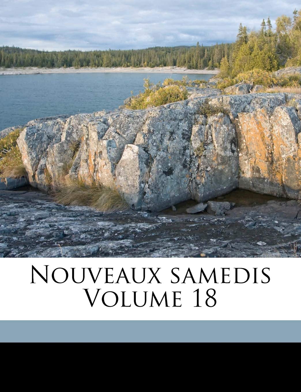 Nouveaux Samedis Volume 18 Politics & History