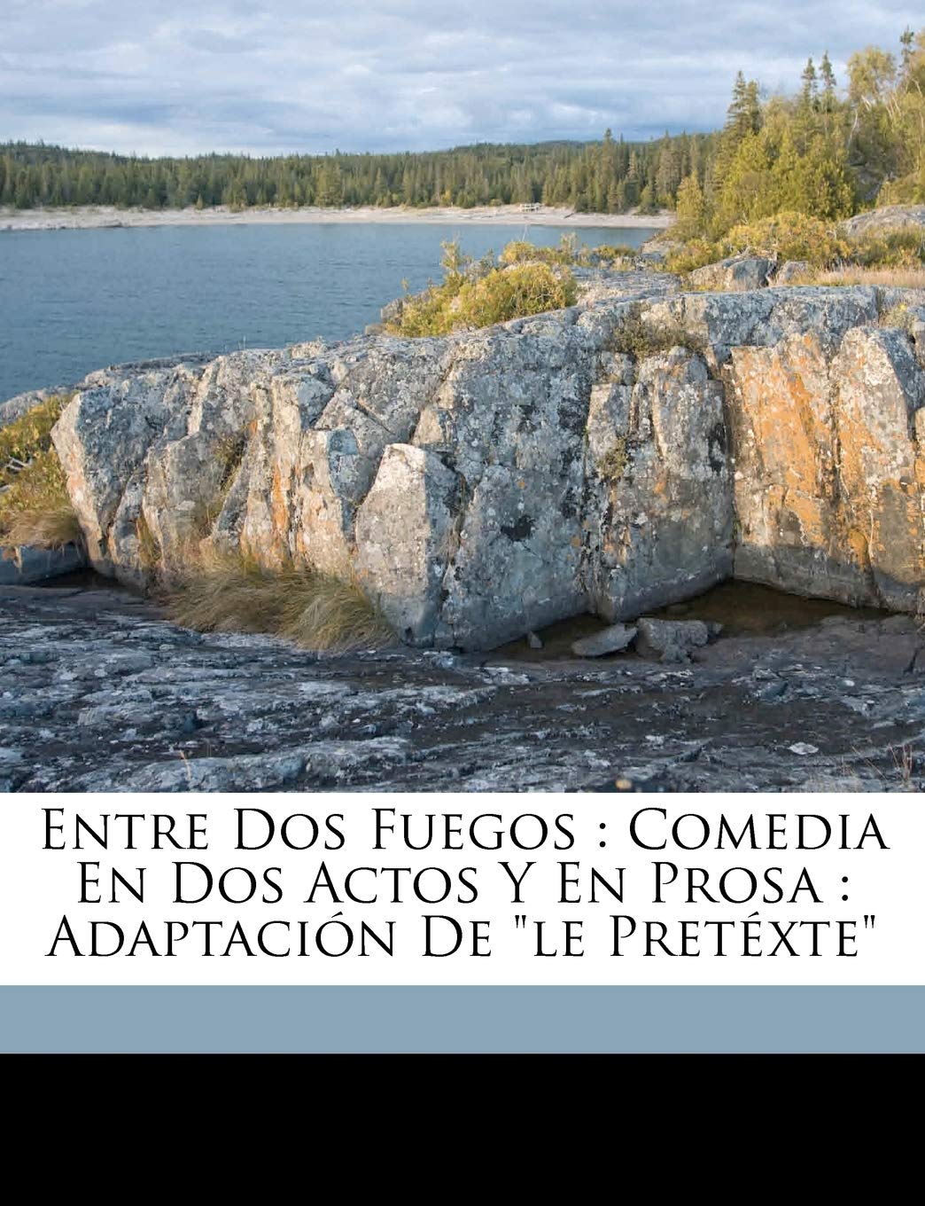 Entre dos fuegos: comedia en dos actos y en prosa: adaptación de Le pretéxte Politics & History
