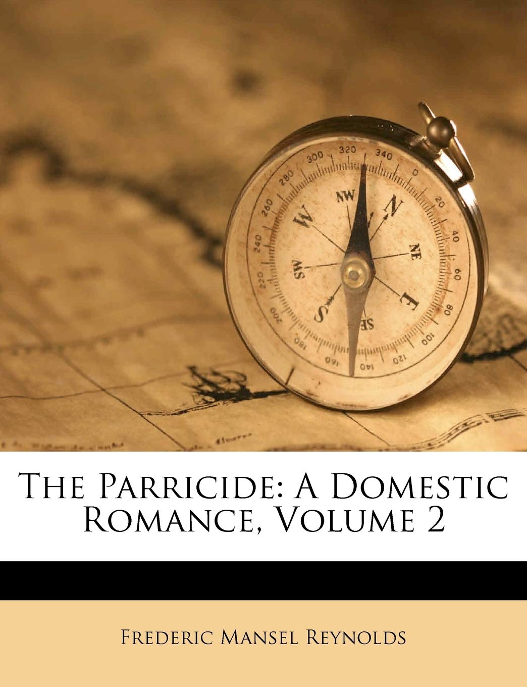 The Parricide: A Domestic Romance, Volume 2 Politics & History