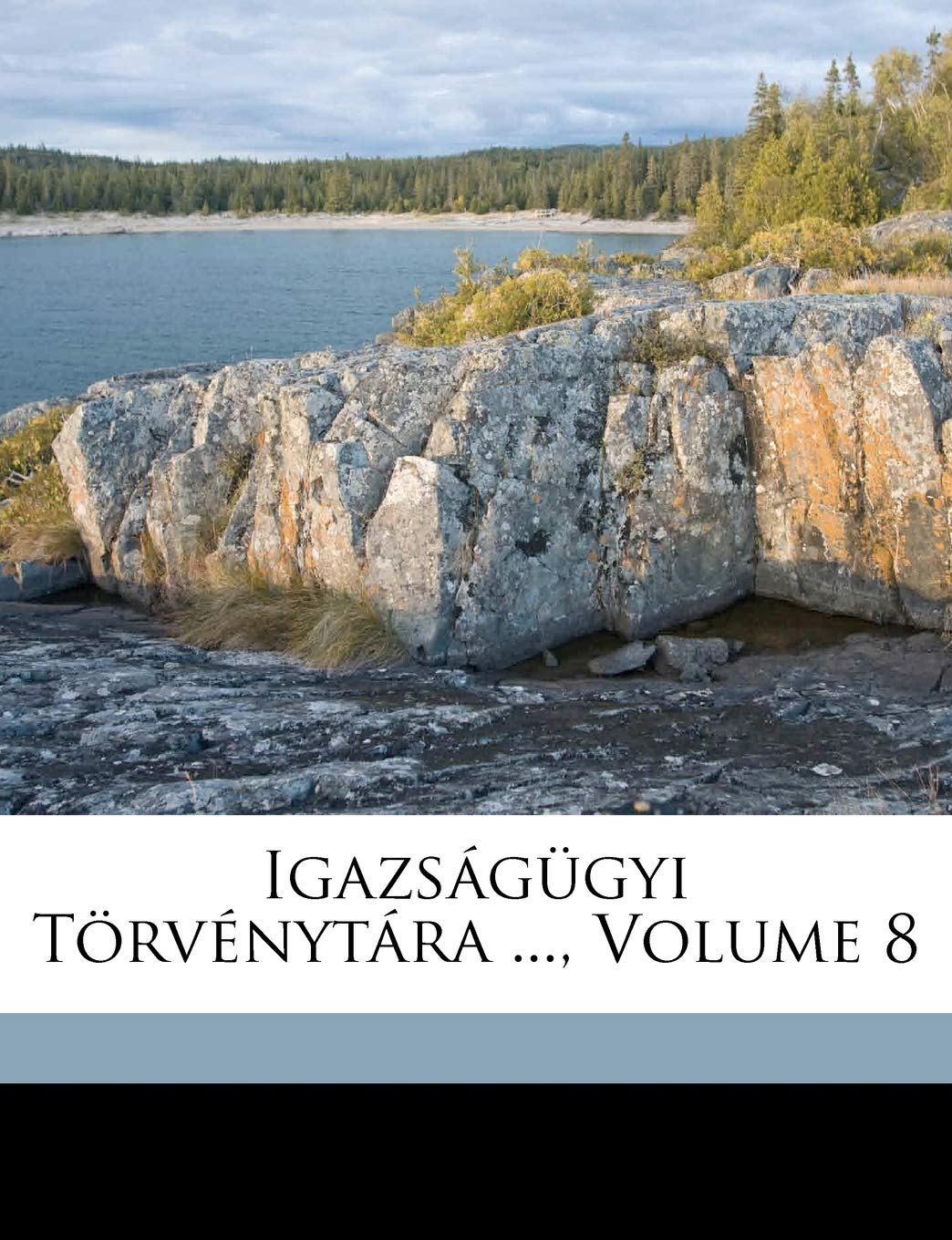 Igazságügyi Törvénytára ..., Volume 8 Politics & History