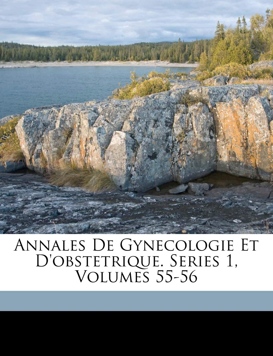 Annales de Gynecologie Et D'Obstetrique. Series 1, Volumes 55-56 book