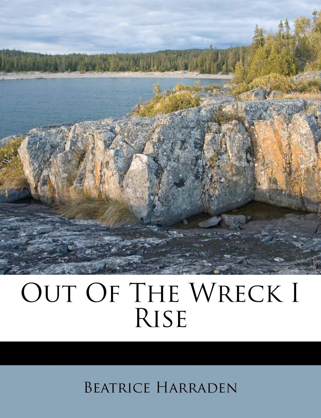 Out of the Wreck I Rise Contemporary literature