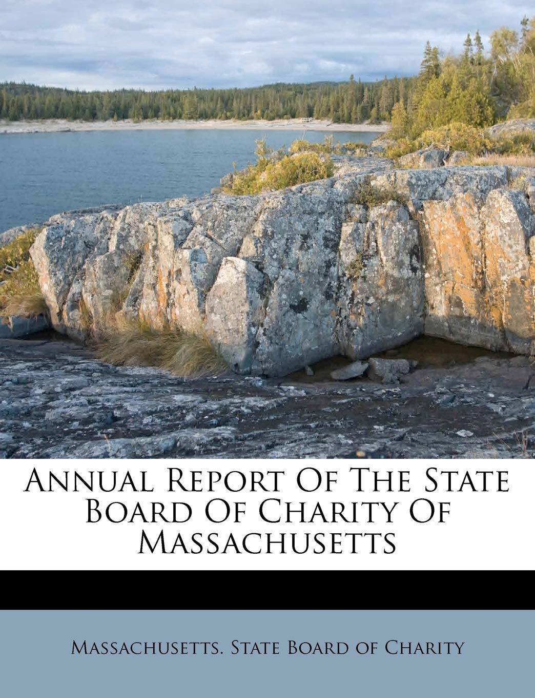 Annual Report Of The State Board Of Charity Of Massachusetts Politics & History