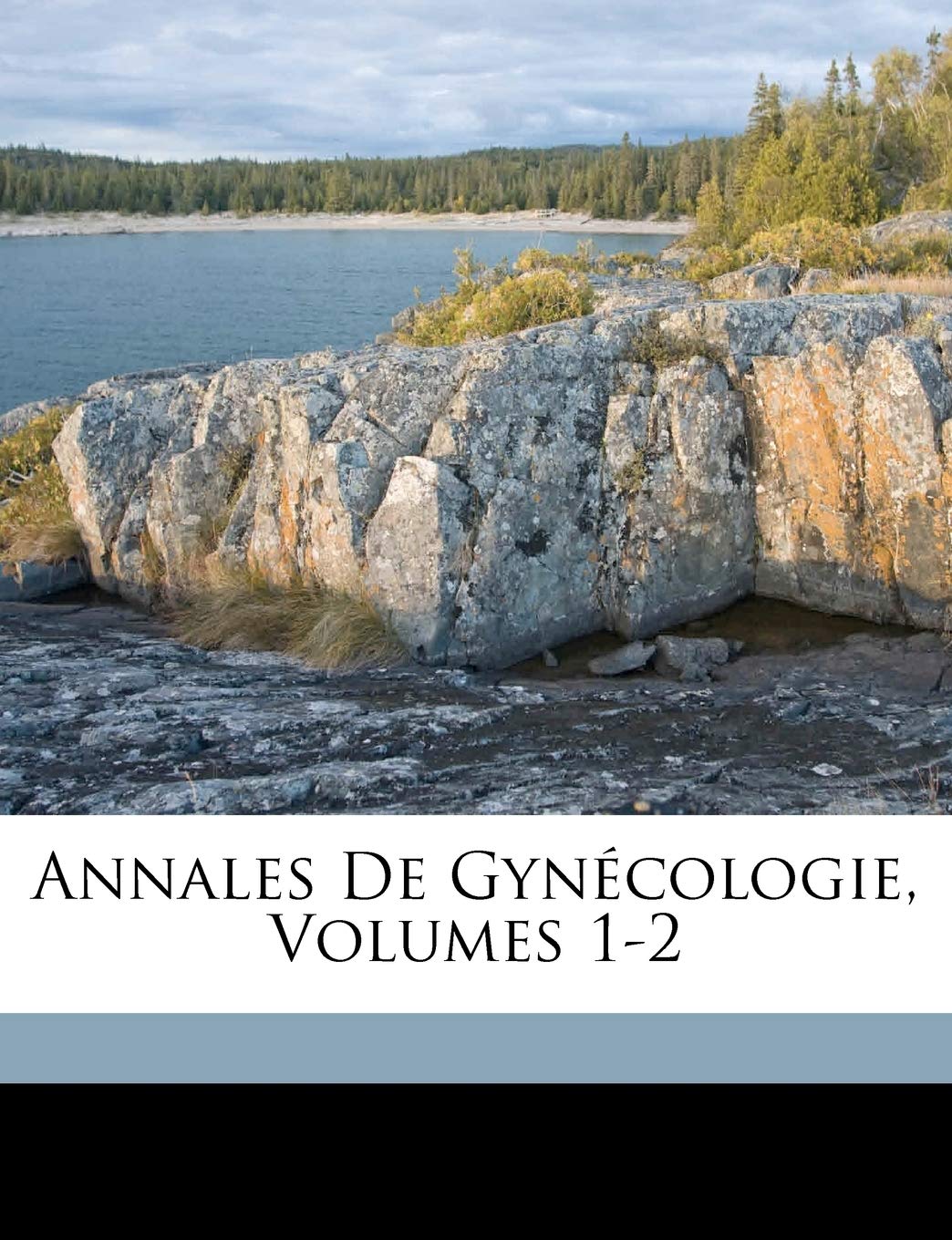 Annales de Gynecologie, Volumes 1-2 book