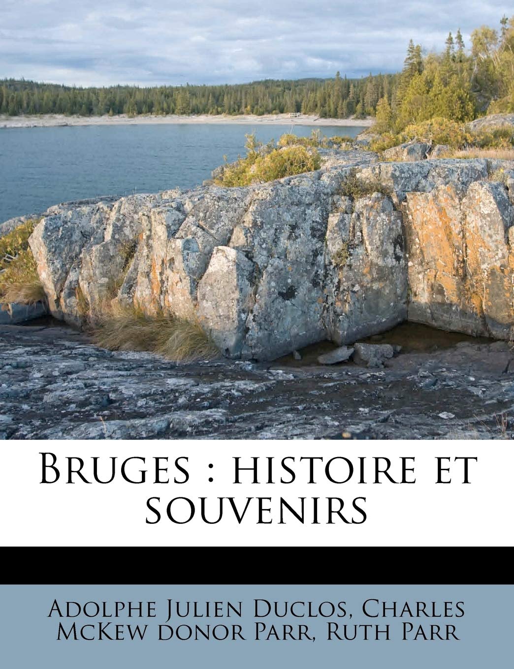 Bruges: histoire et souvenirs book