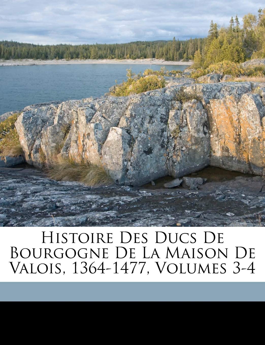 Histoire Des Ducs de Bourgogne de La Maison de Valois, 1364-1477, Volumes 3-4 Politics & History