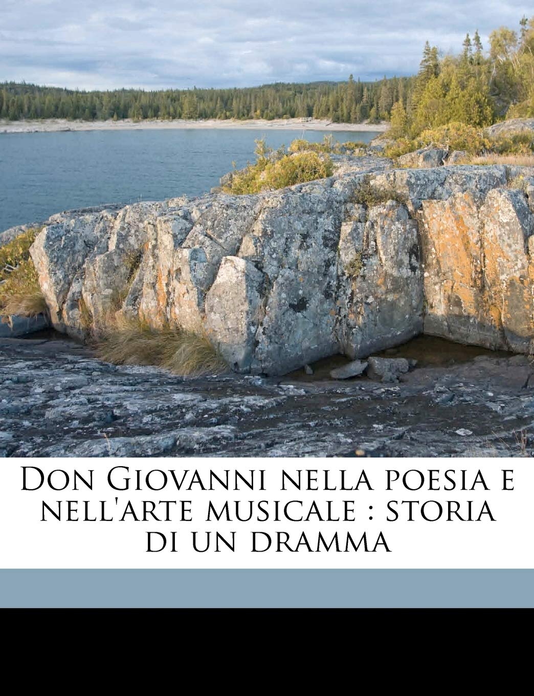 Don Giovanni Nella Poesia E Nell'arte Musicale: Storia Di Un Dramma Books