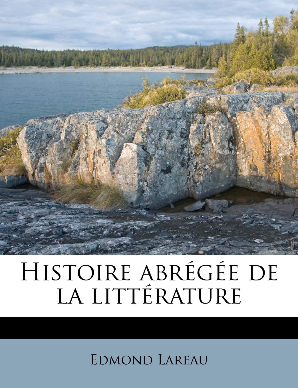 Histoire Abregee de La Litterature Politics & History