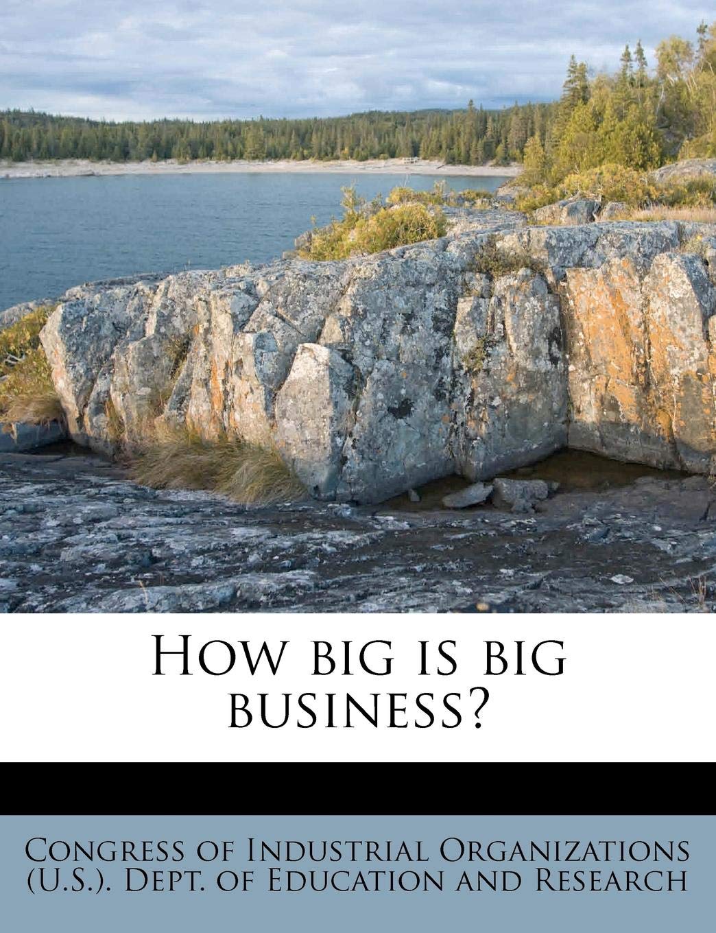 How Big Is Big Business? Politics & History