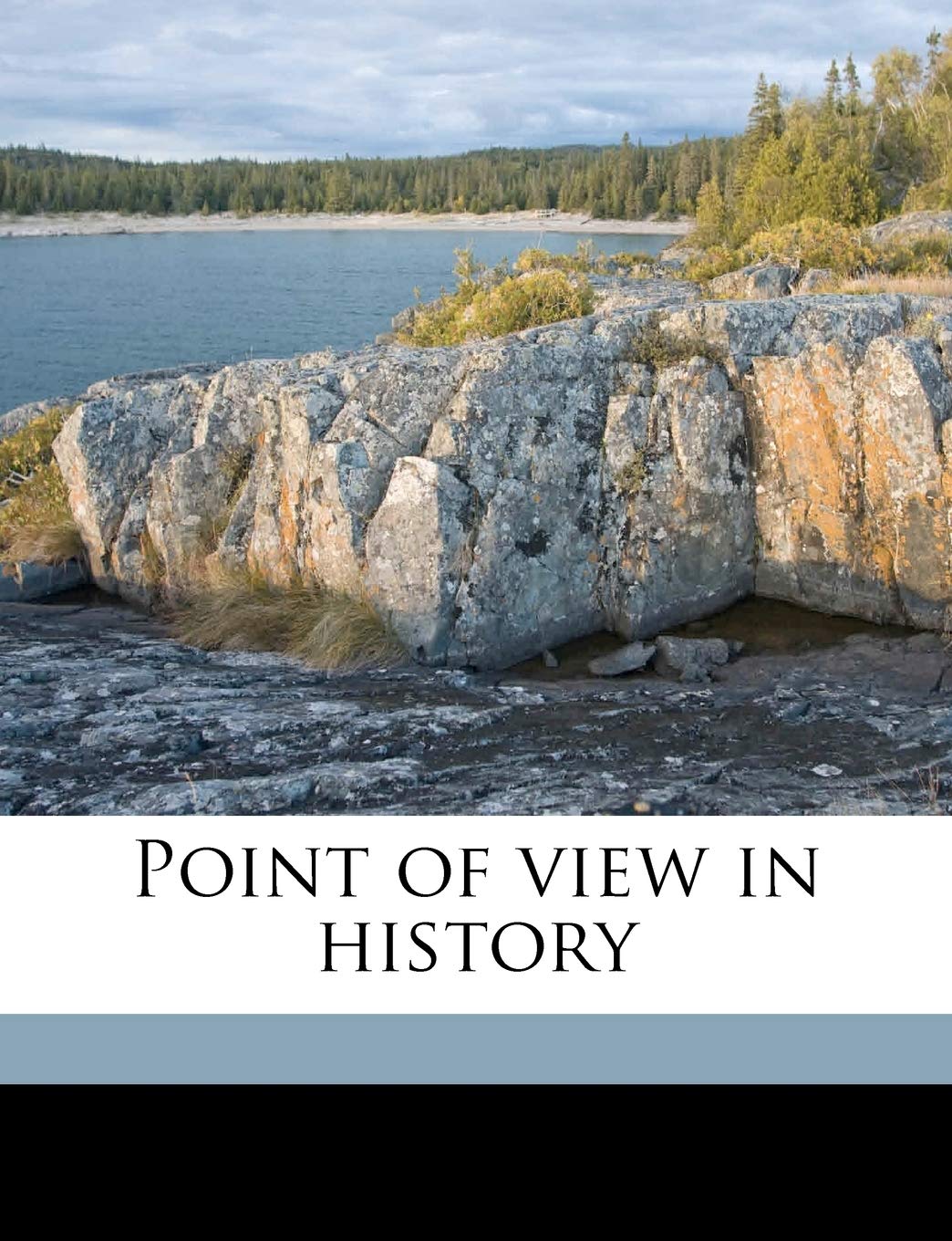 Point of View in History Politics & History