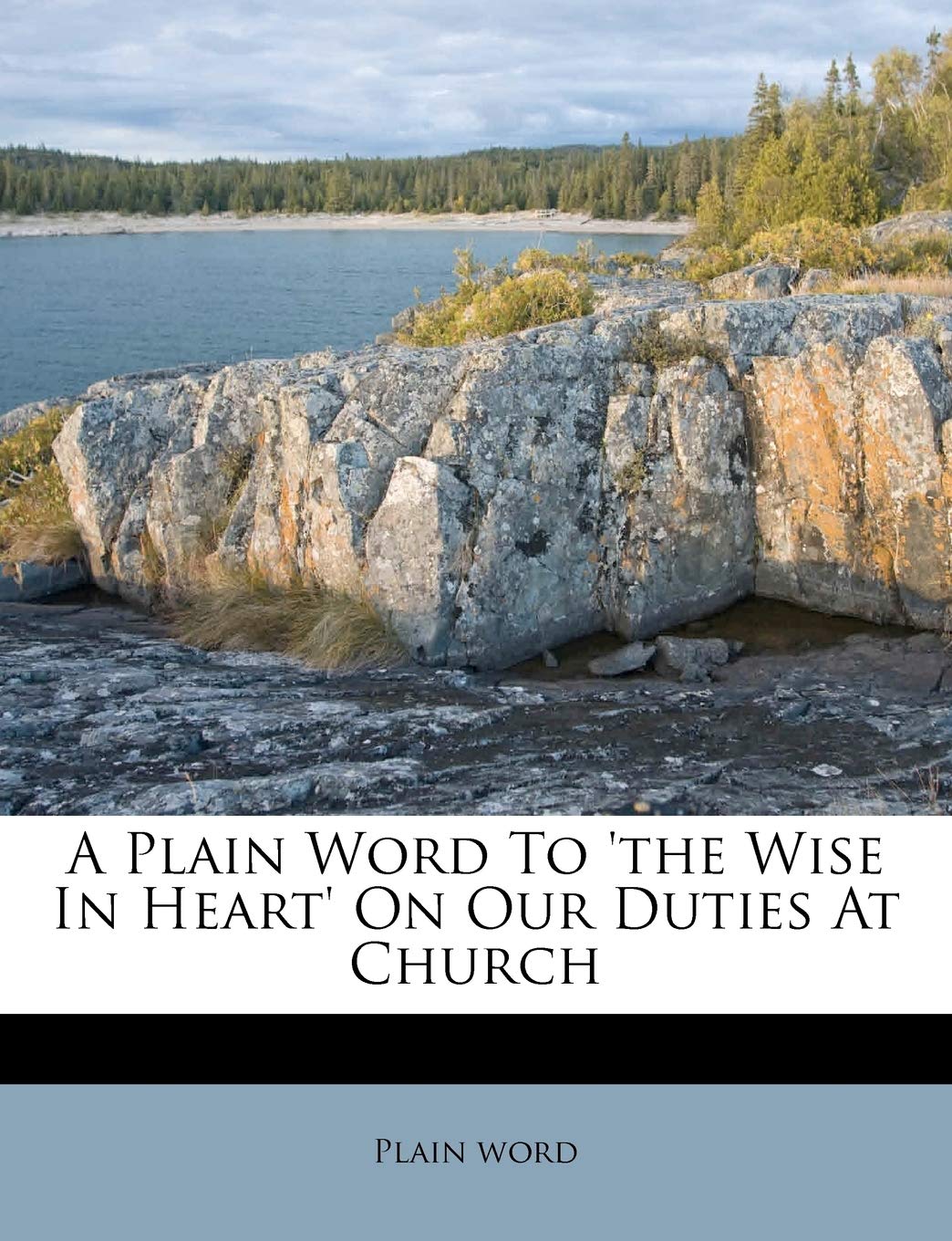 A Plain Word to 'the Wise in Heart' on Our Duties at Church Politics & History