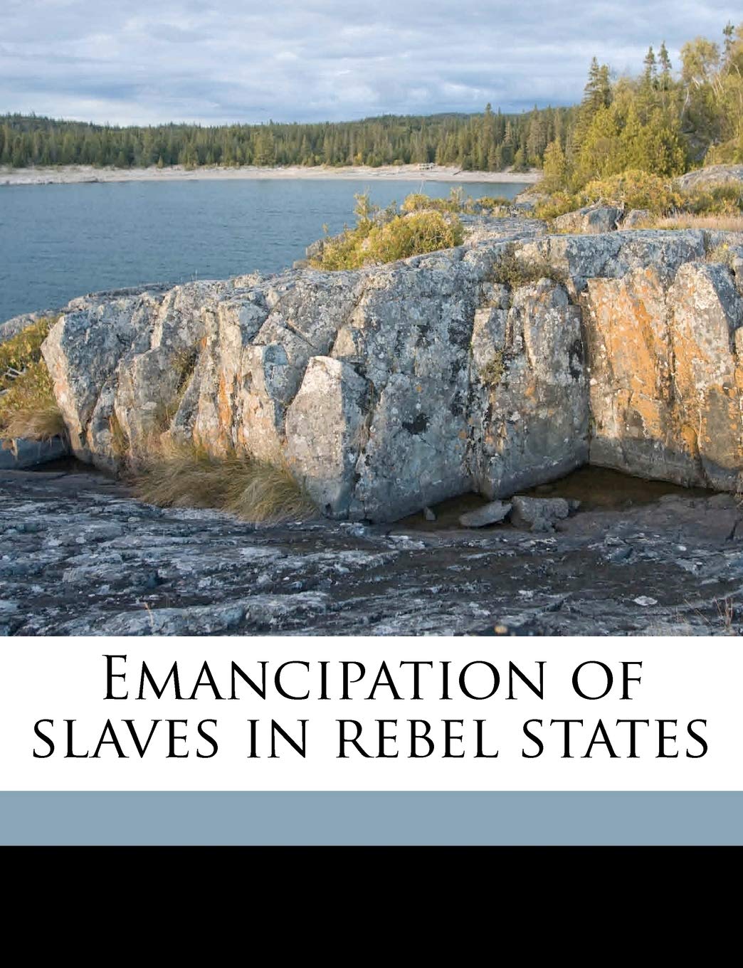 Emancipation of Slaves in Rebel States Politics & History