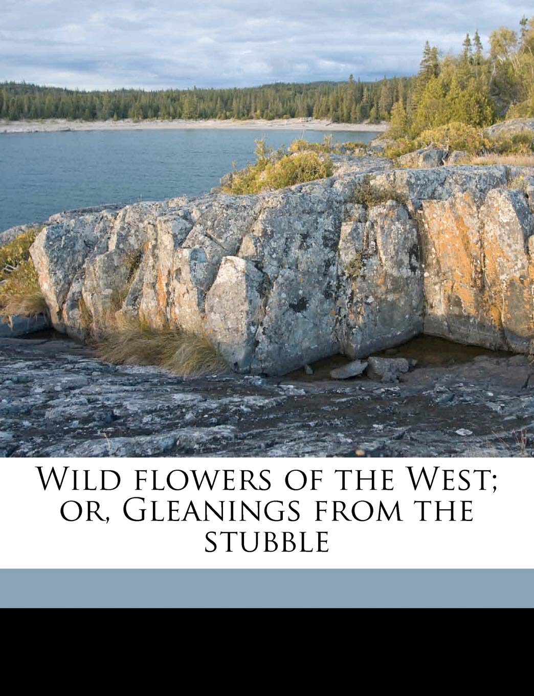 Wild Flowers of the West; Or, Gleanings from the Stubble Politics & History