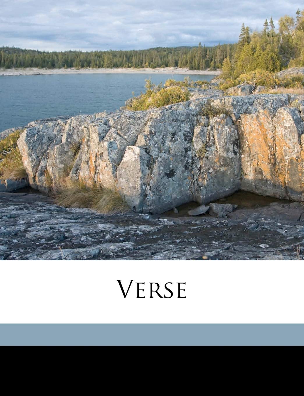 Verse Contemporary literature