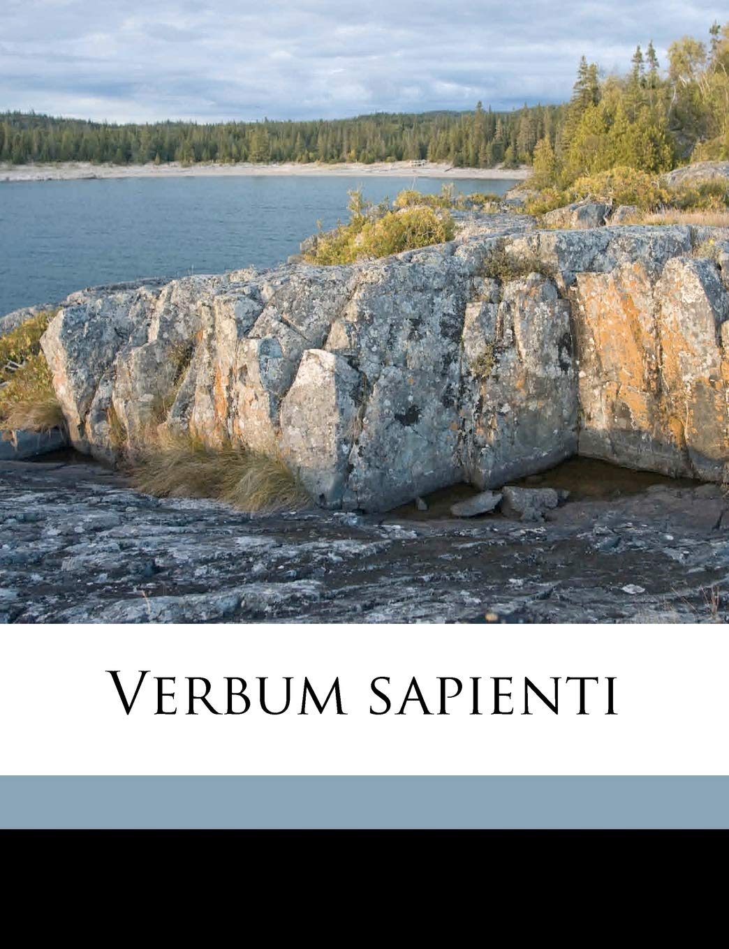 Verbum Sapienti Politics & History books