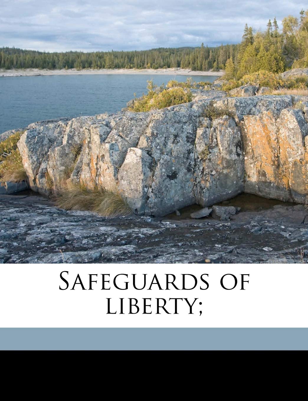 Safeguards of Liberty; Contemporary literature