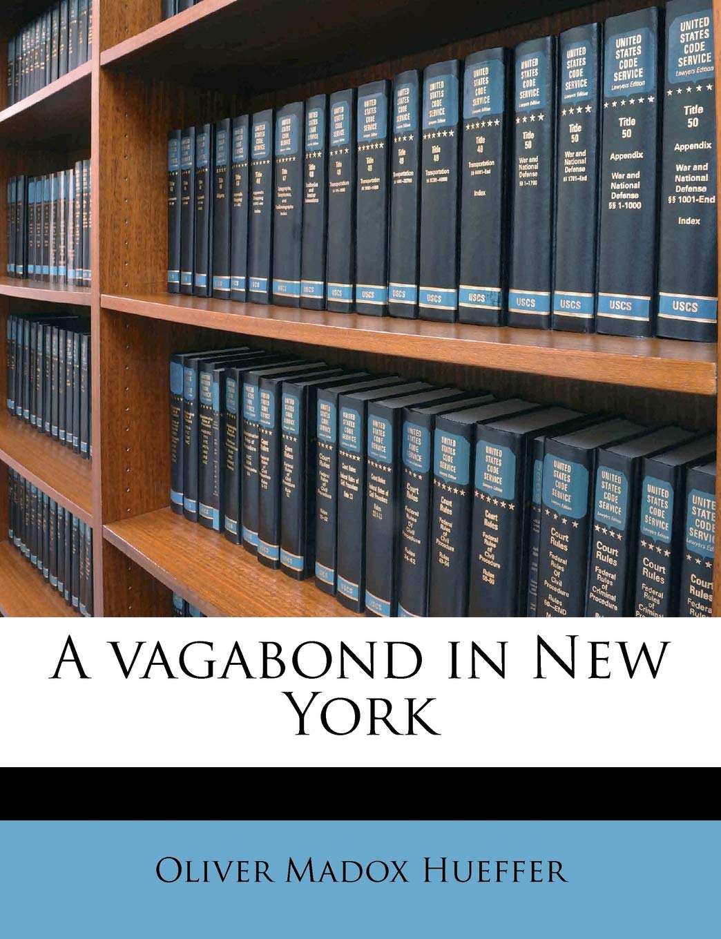 A Vagabond in New York Politics & History