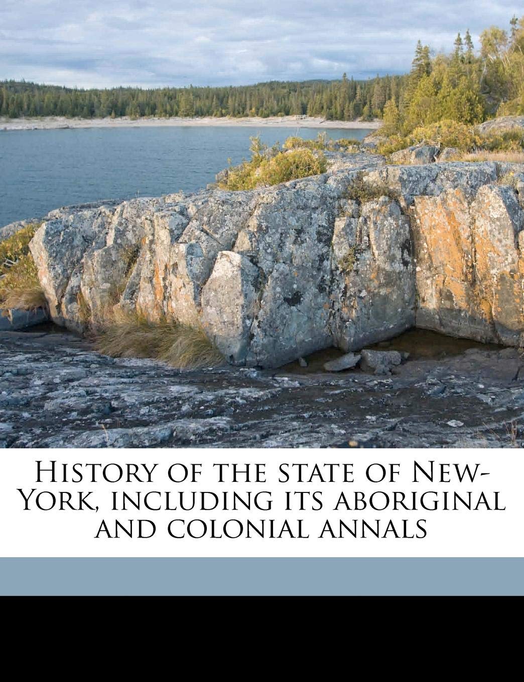 History of the State of New-York, Including Its Aboriginal and Colonial Annals Volume PT. 2 Politics & History