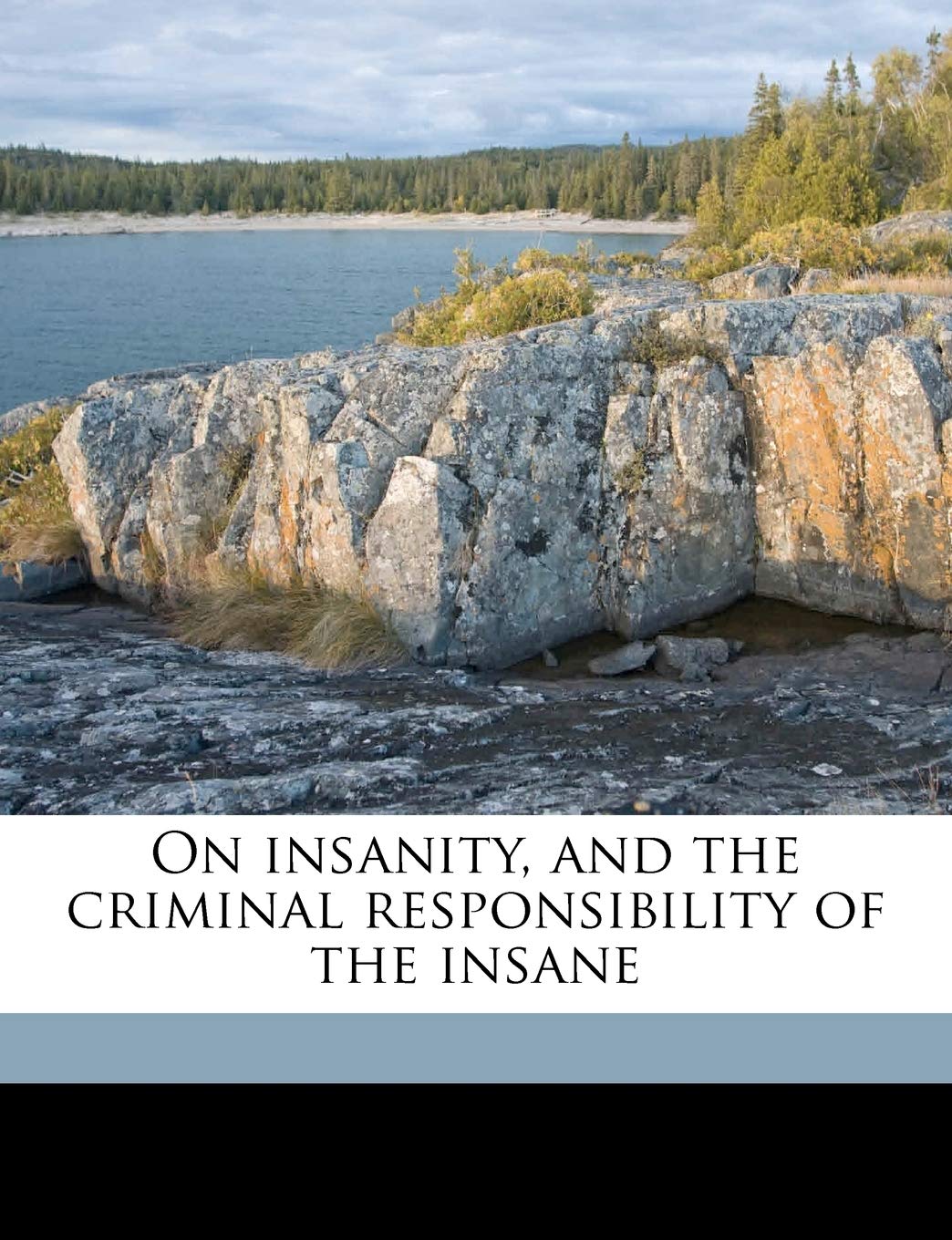On Insanity, and the Criminal Responsibility of the Insane Law