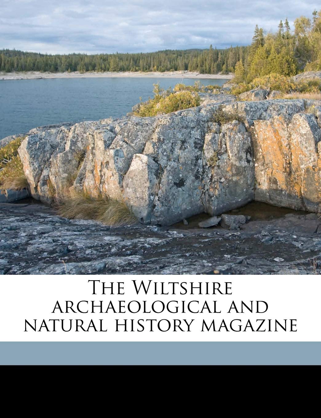 The Wiltshire archaeological and natural history magazin, Volume 38 Politics & History