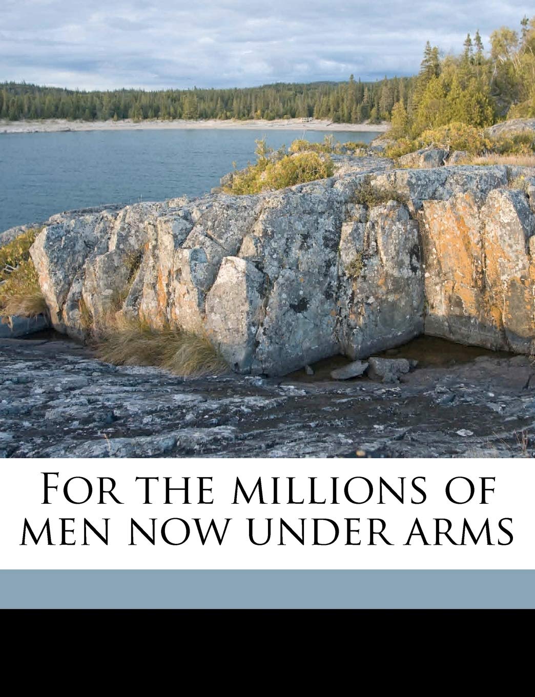 For the Millions of Men Now Under Arms Volume 1 Politics & History
