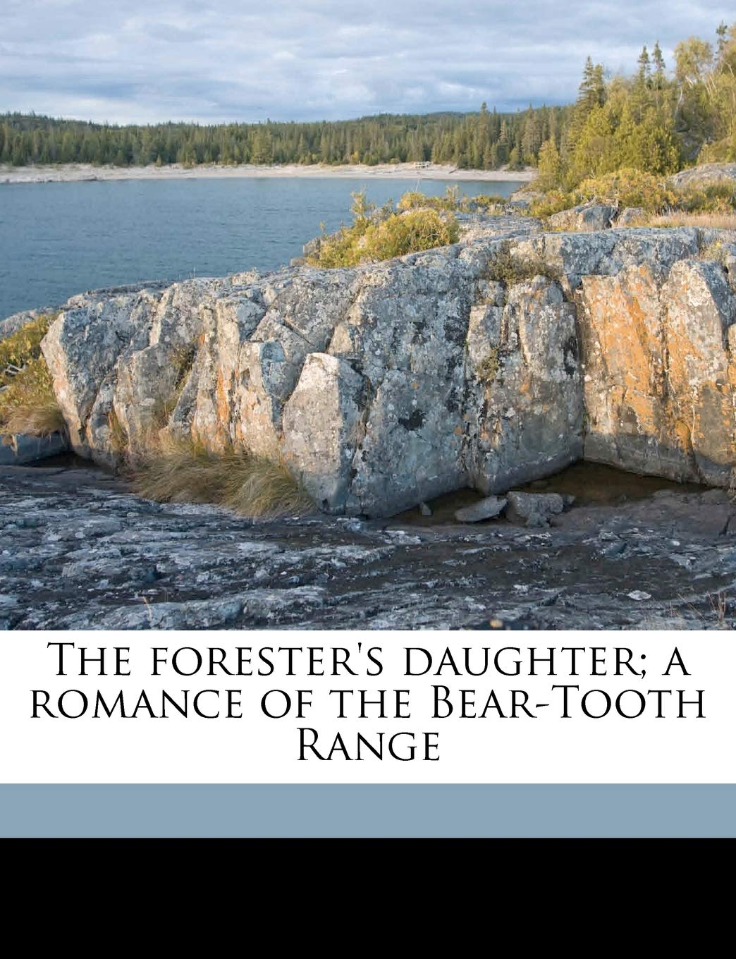 The Forester's Daughter; A Romance of the Bear-Tooth Range Politics & History