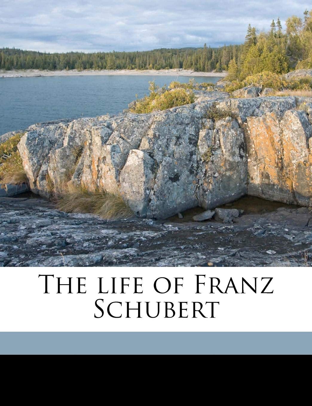 The Life of Franz Schubert Volume 1 Politics & History