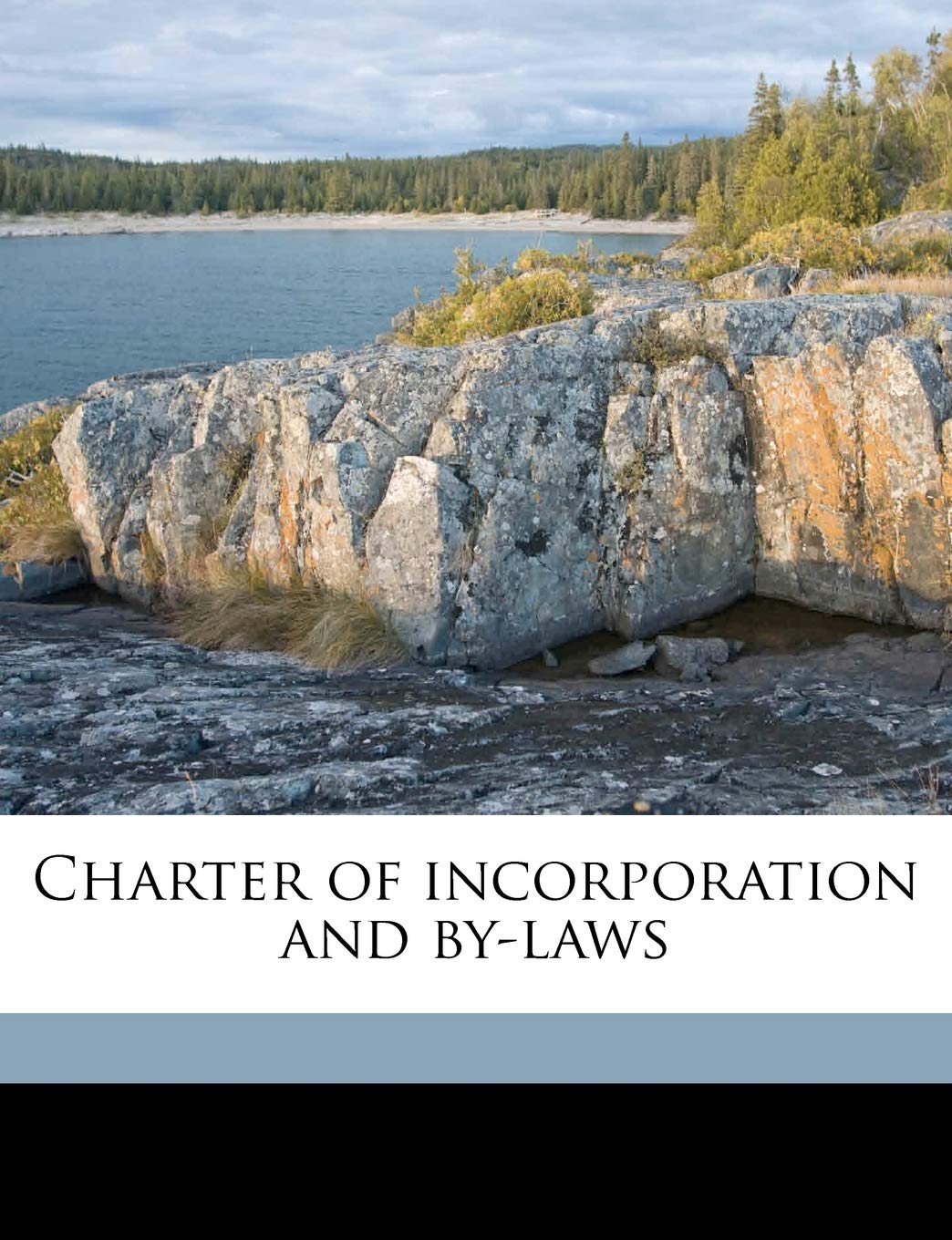 Charter of Incorporation and By-Laws Politics & History