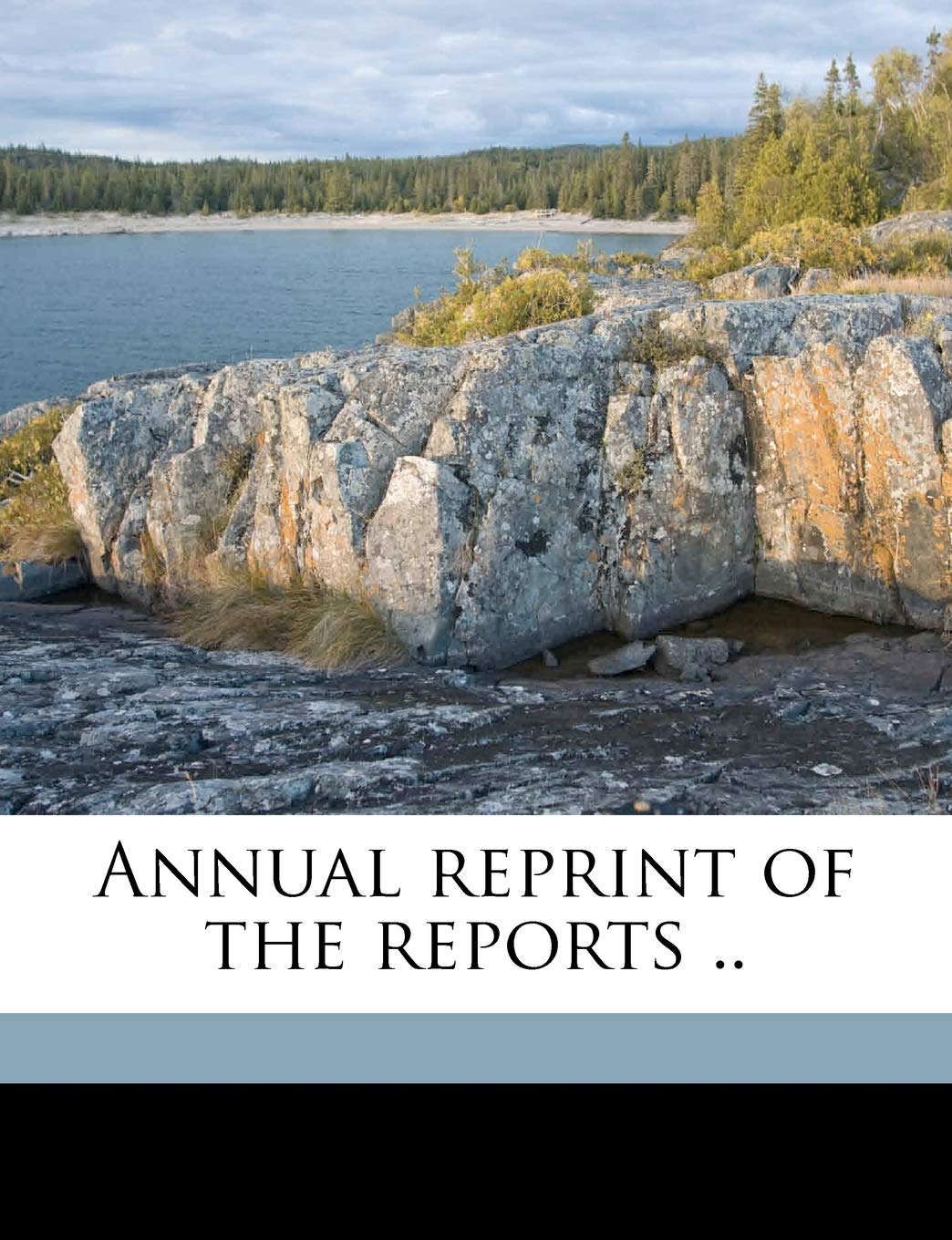 Annual Reprint of the Reports .. Volume 1914 Politics & History