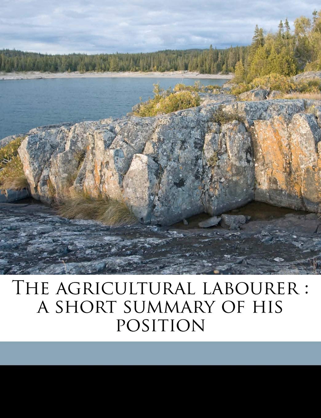 The Agricultural Labourer: A Short Summary of His Position Business, Finance & Career