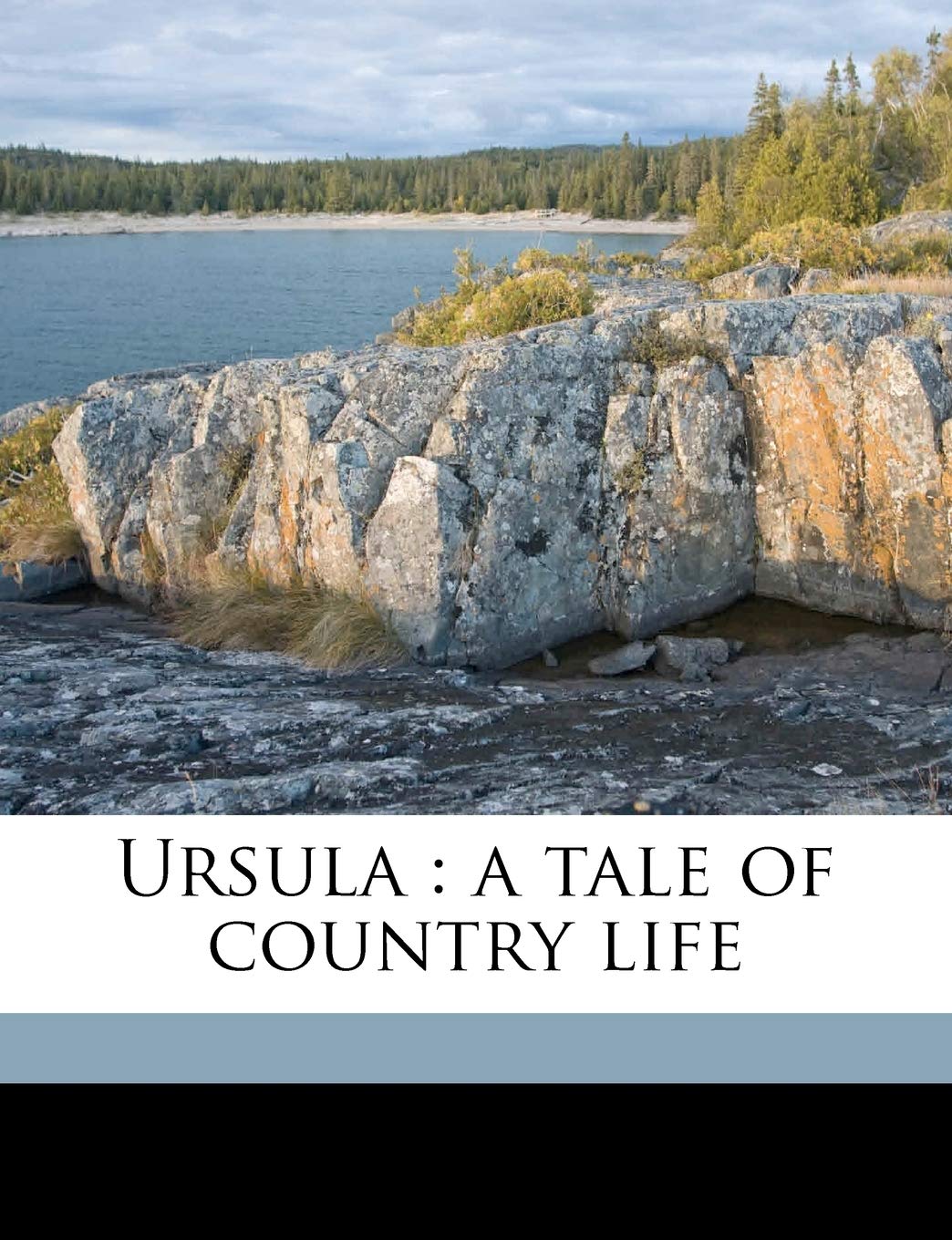 Ursula: A Tale of Country Life Volume 2 Contemporary literature