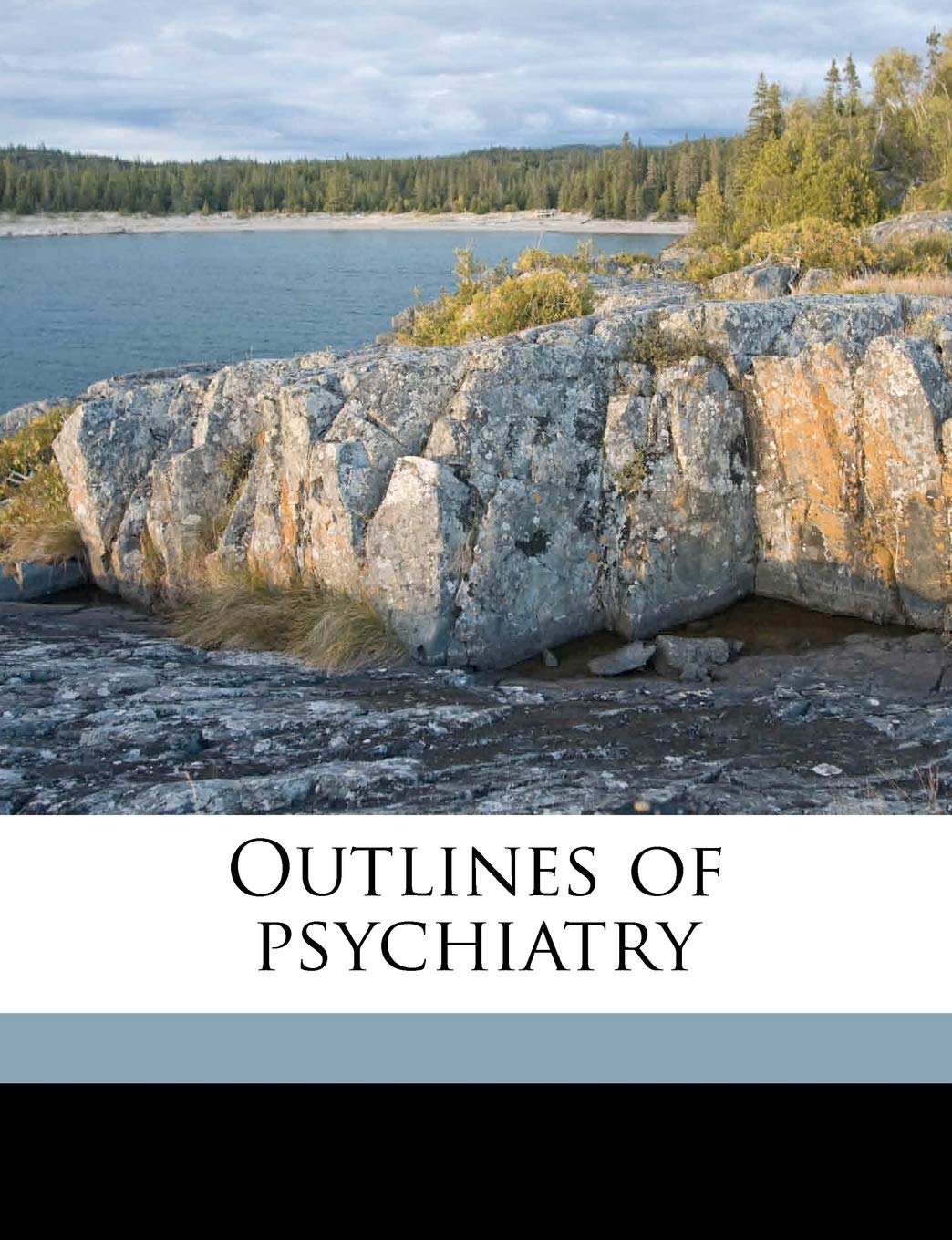 Outlines of Psychiatry Medicine