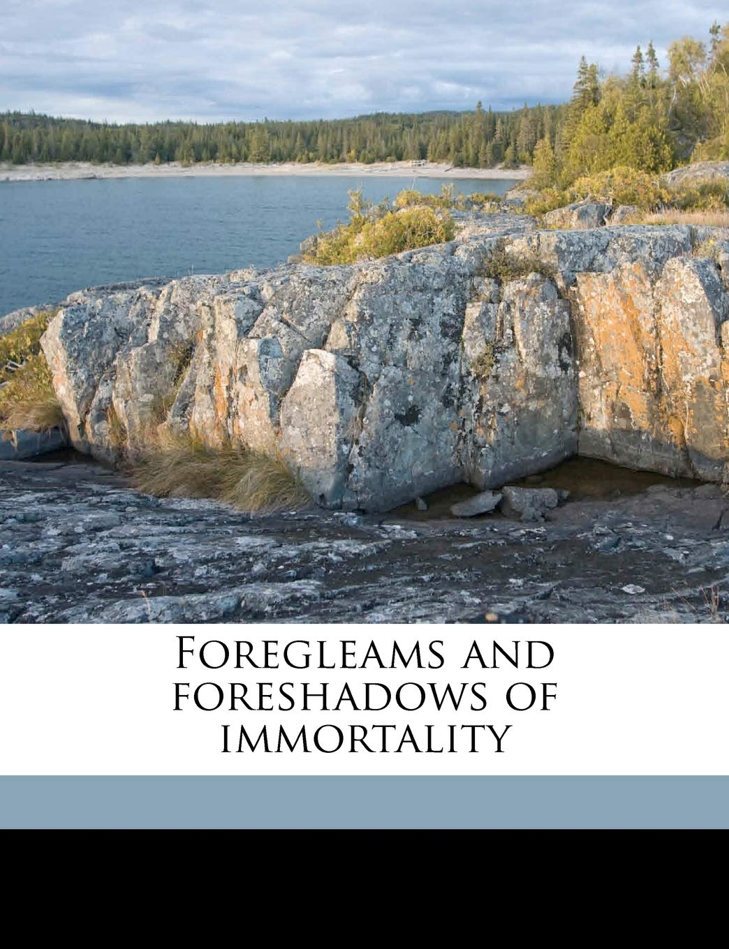 Foregleams and Foreshadows of Immortality Politics & History