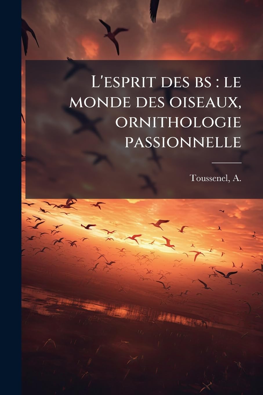 L'esprit des bs: le monde des oiseaux, ornithologie passionnelle: Pt. 3 book