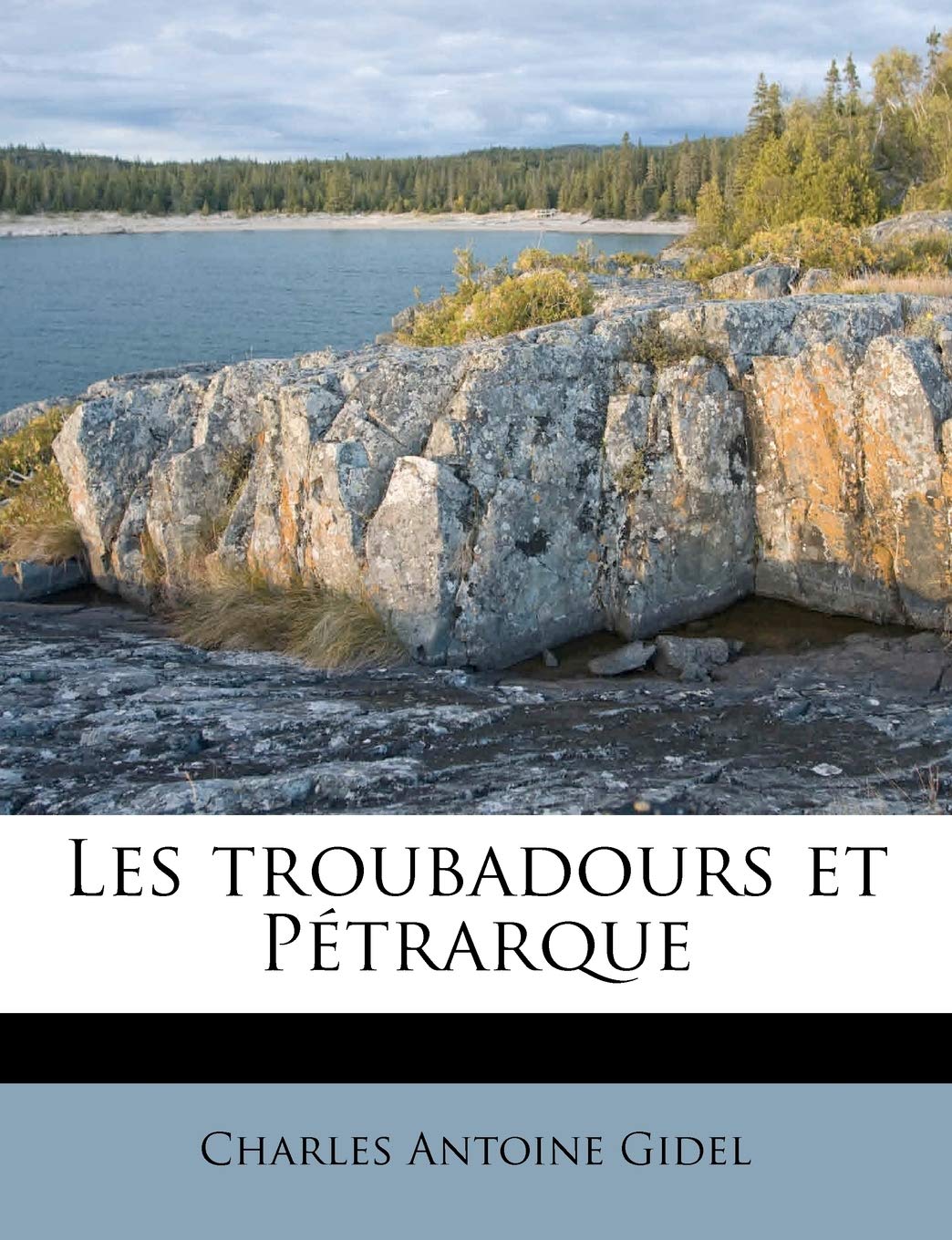 Les troubadours et Pétrarque book