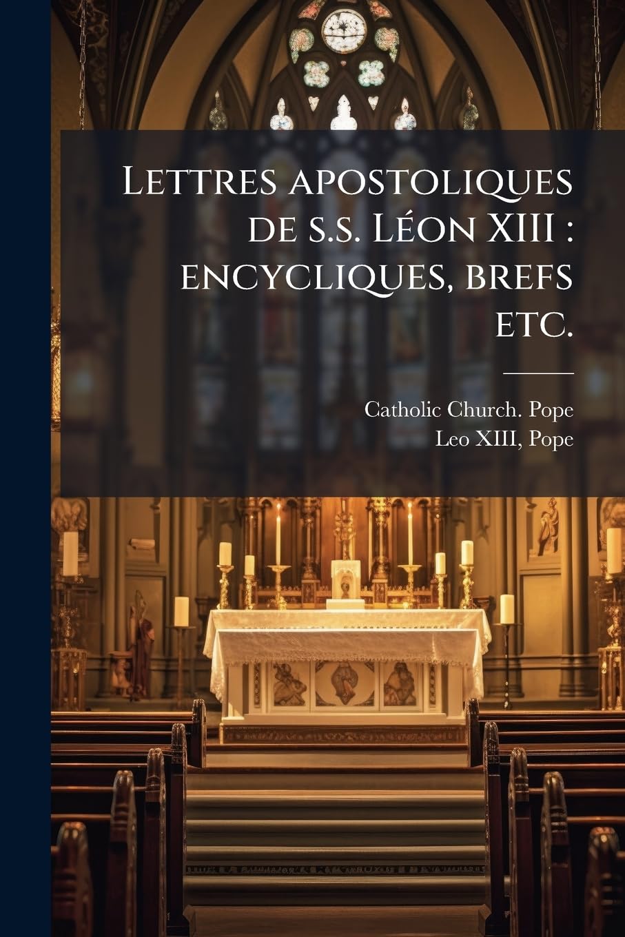 Lettres apostoliques de s.s. Léon XIII: encycliques, brefs etc.: 4 book
