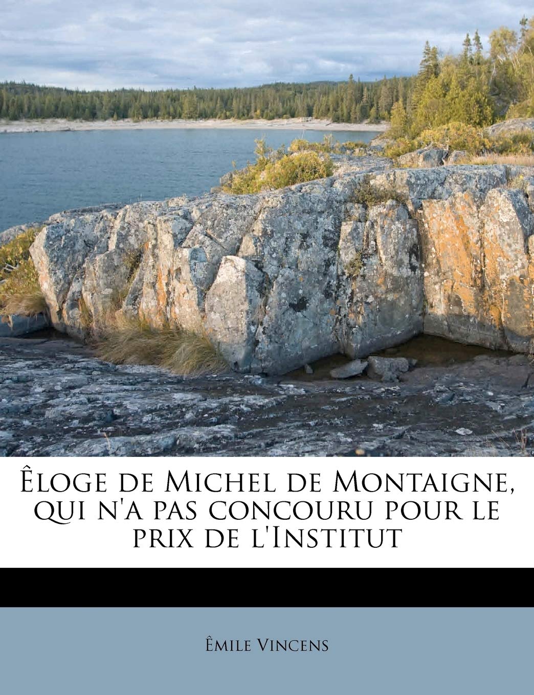 Êloge de Michel de Montaigne, Qui n'a Pas Concouru Pour Le Prix de l'Institut book