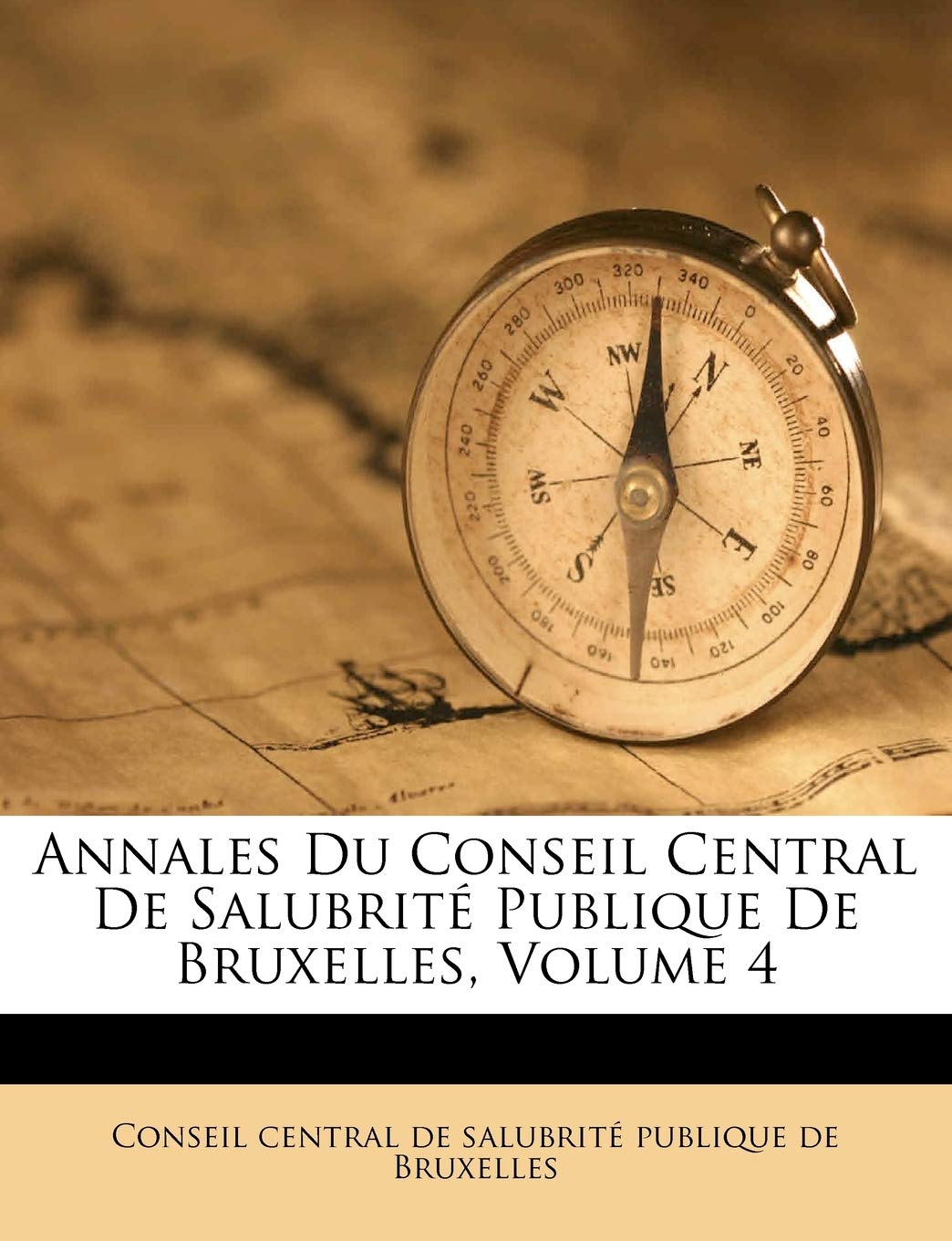 Annales Du Conseil Central de Salubrité Publique de Bruxelles, Volume 4 book