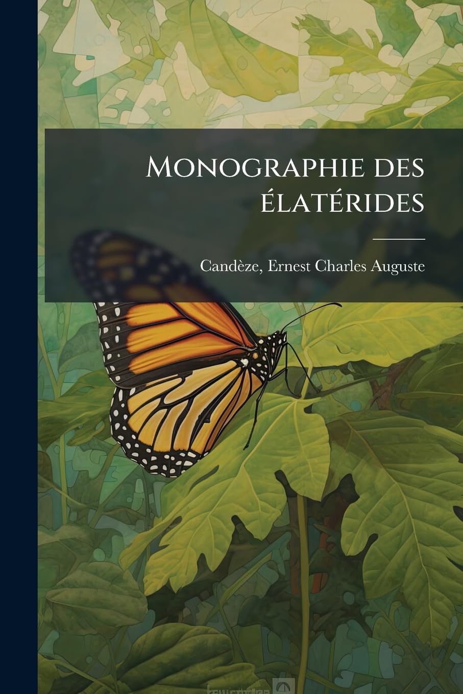 Monographie des élatérides: V. 3 book