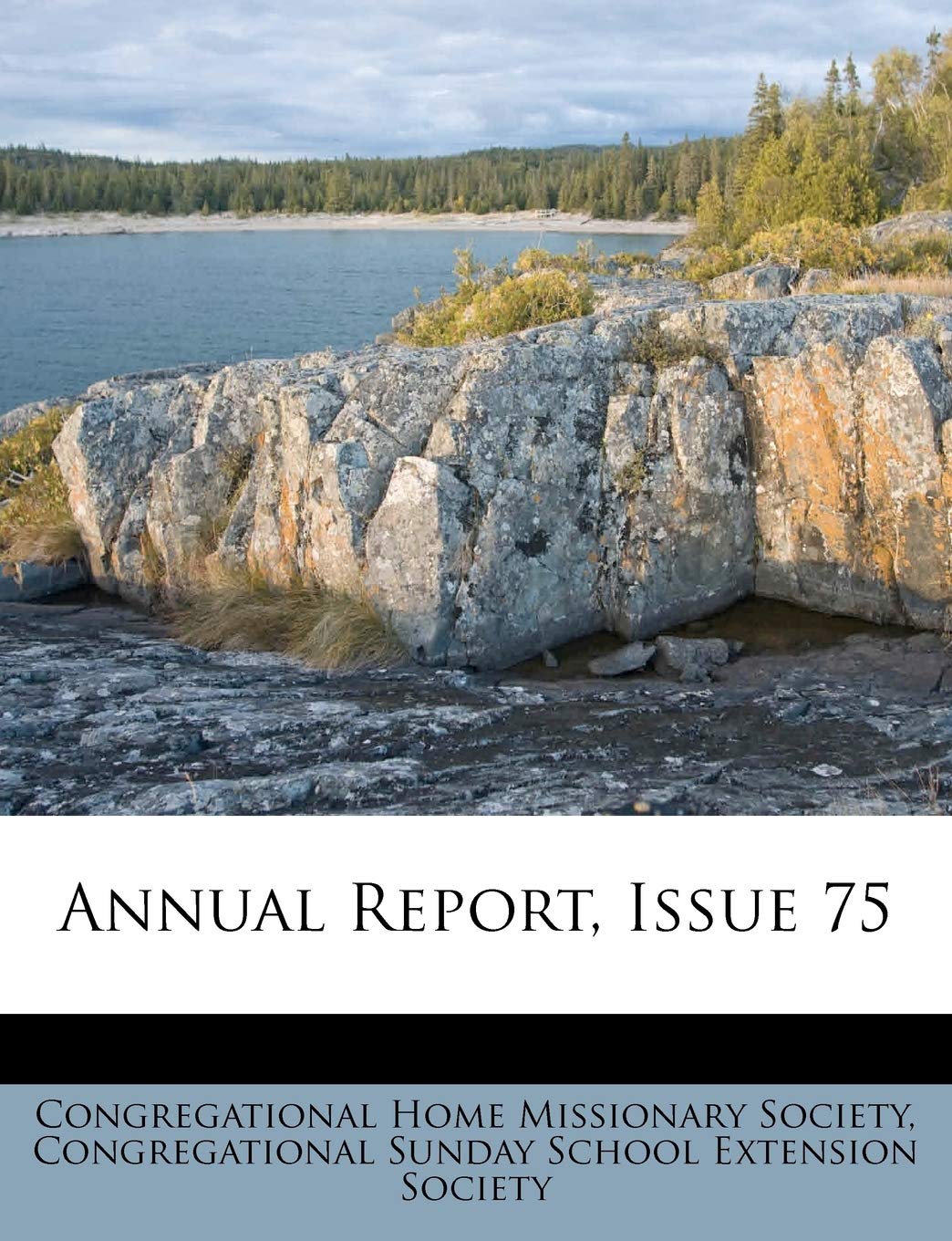 Annual Report, Issue 75 Politics & History