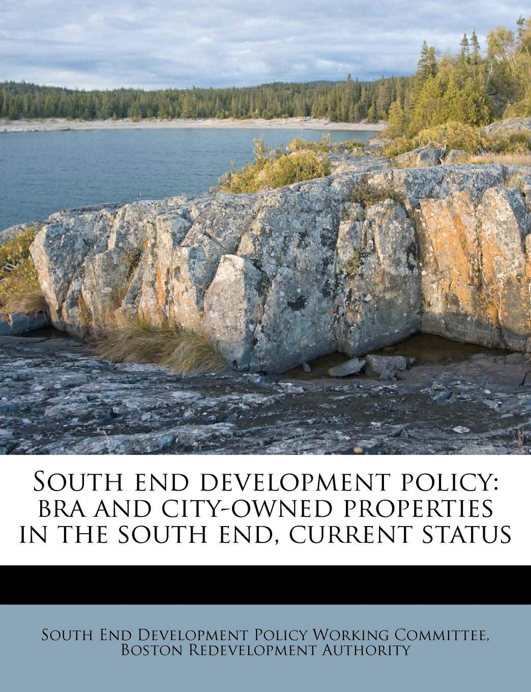 South End Development Policy: Bra and City-Owned Properties in the South End, Current Status Politics & History