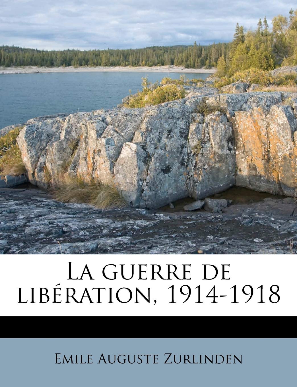 La guerre de libération, 1914-1918 book